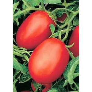 Рио Фуего - томат детерминантный, Lark Seeds (Ларк Сидс), США фото, цена